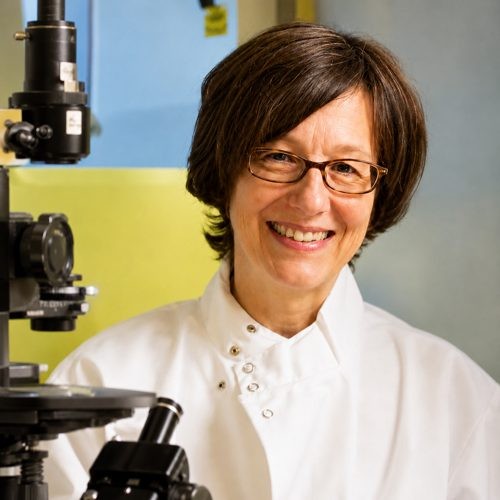 Marie Csete, MD/PhD